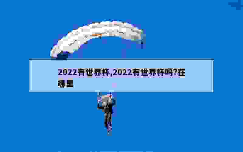 2022有世界杯,2022有世界杯吗?在哪里