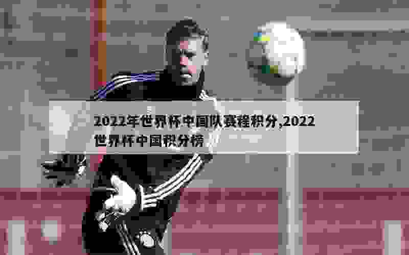 2022年世界杯中国队赛程积分,2022世界杯中国积分榜