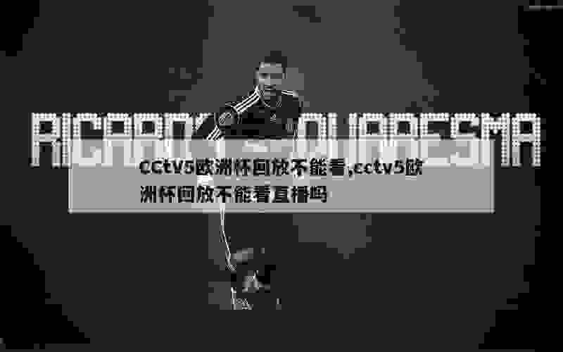 CCtV5欧洲杯回放不能看,cctv5欧洲杯回放不能看直播吗