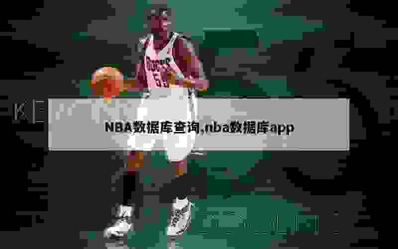 NBA数据库查询,nba数据库app