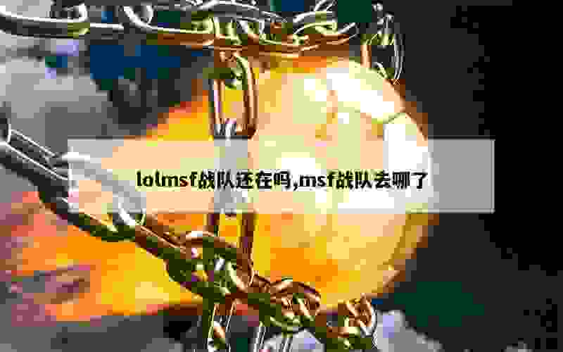 lolmsf战队还在吗,msf战队去哪了