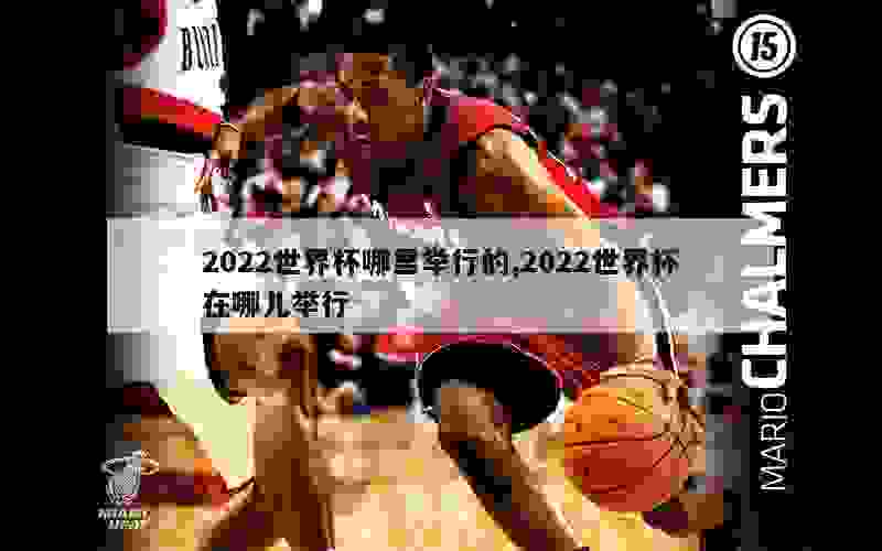 2022世界杯哪里举行的,2022世界杯在哪儿举行