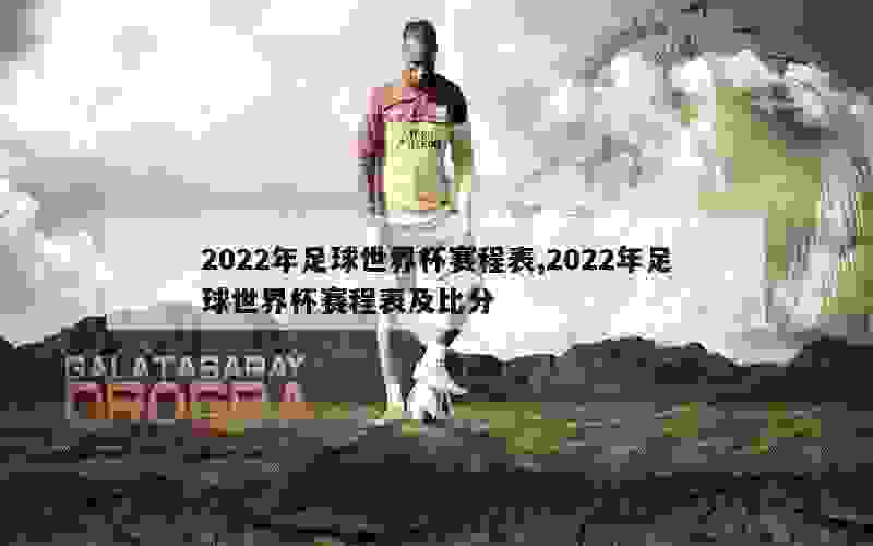 2022年足球世界杯赛程表,2022年足球世界杯赛程表及比分