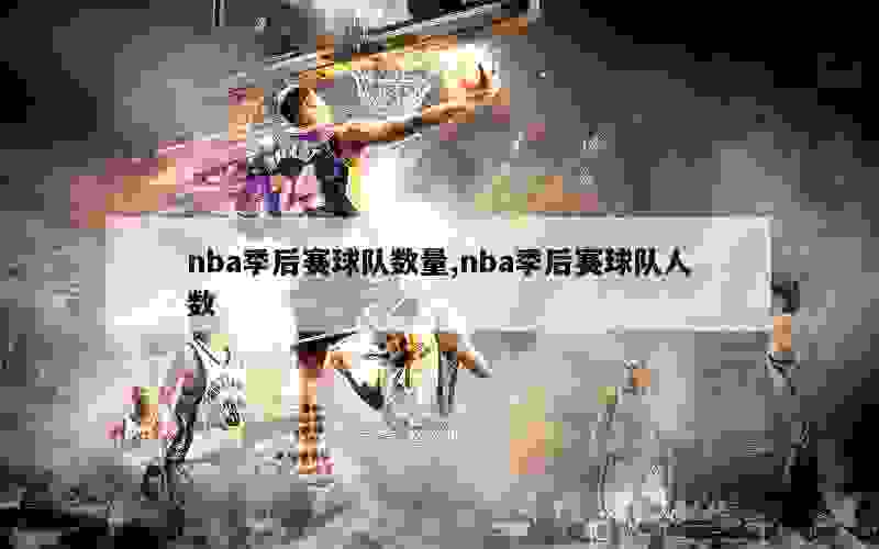 nba季后赛球队数量,nba季后赛球队人数