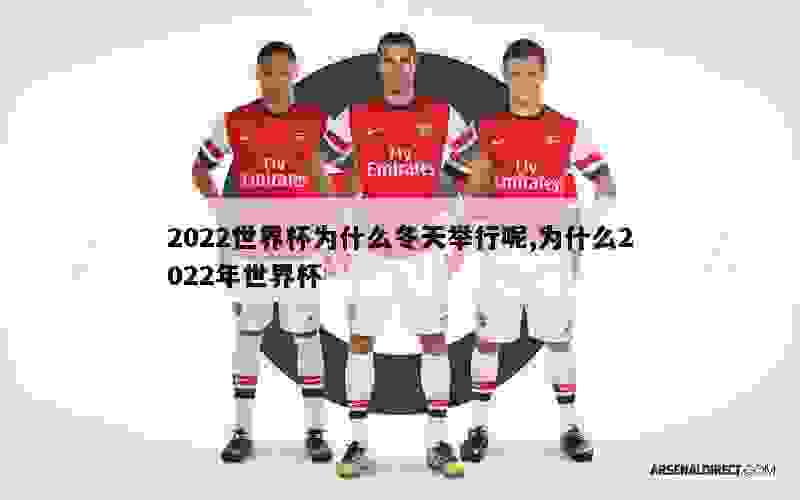 2022世界杯为什么冬天举行呢,为什么2022年世界杯