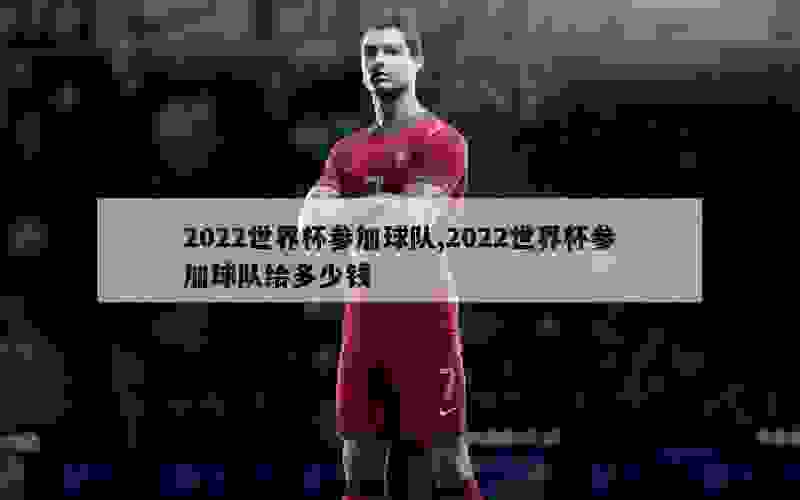 2022世界杯参加球队,2022世界杯参加球队给多少钱