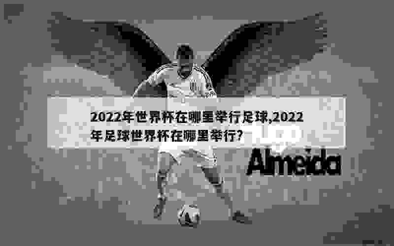 2022年世界杯在哪里举行足球,2022年足球世界杯在哪里举行?