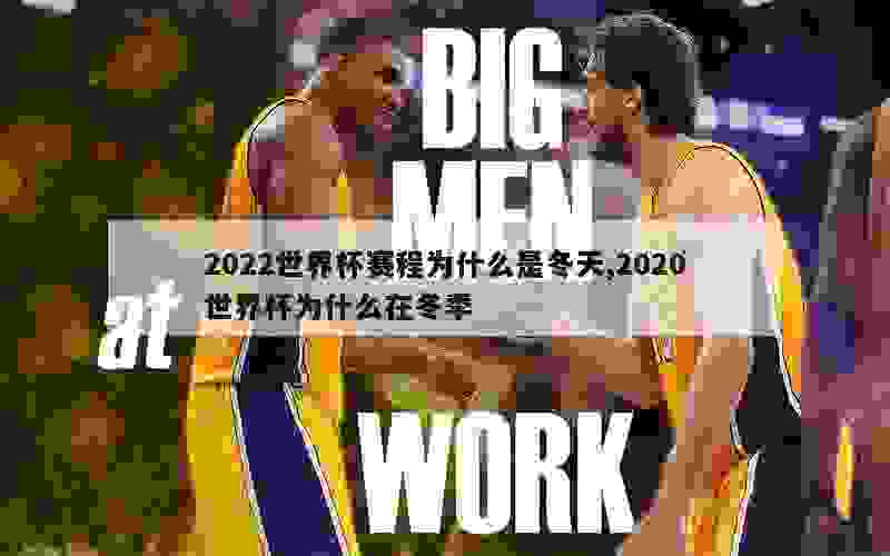 2022世界杯赛程为什么是冬天,2020世界杯为什么在冬季