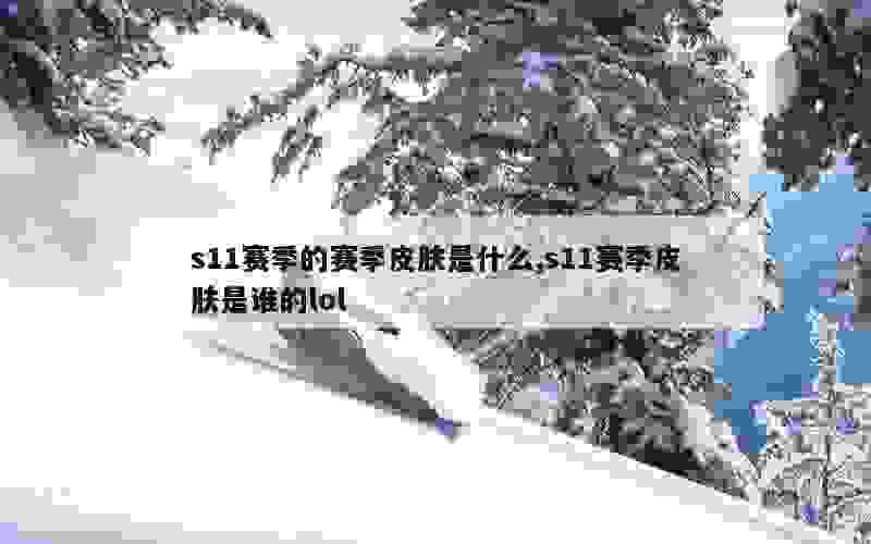 s11赛季的赛季皮肤是什么,s11赛季皮肤是谁的lol